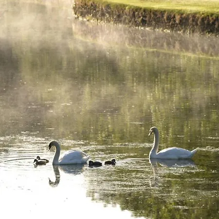 Lägenhet The Jerpoint *