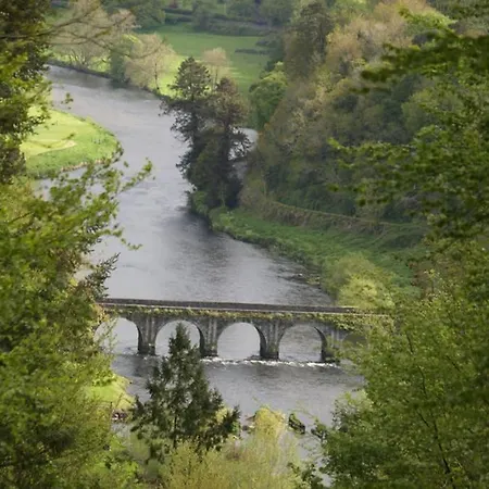 The Jerpoint Daire Thomastown (Kilkenny)