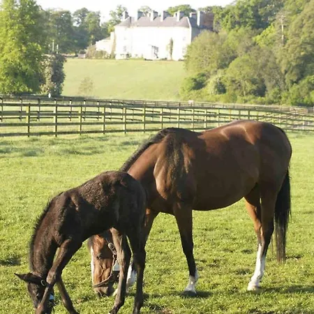 The Jerpoint Thomastown (Kilkenny)