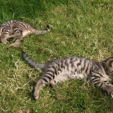 The Jerpoint شقة *