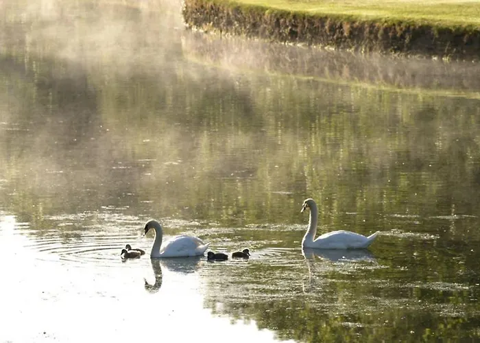 Appartamento The Jerpoint *