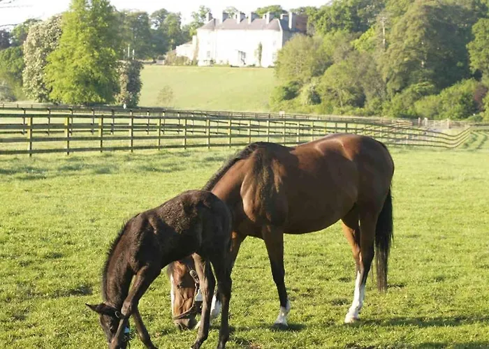 The Jerpoint Thomastown (Kilkenny)